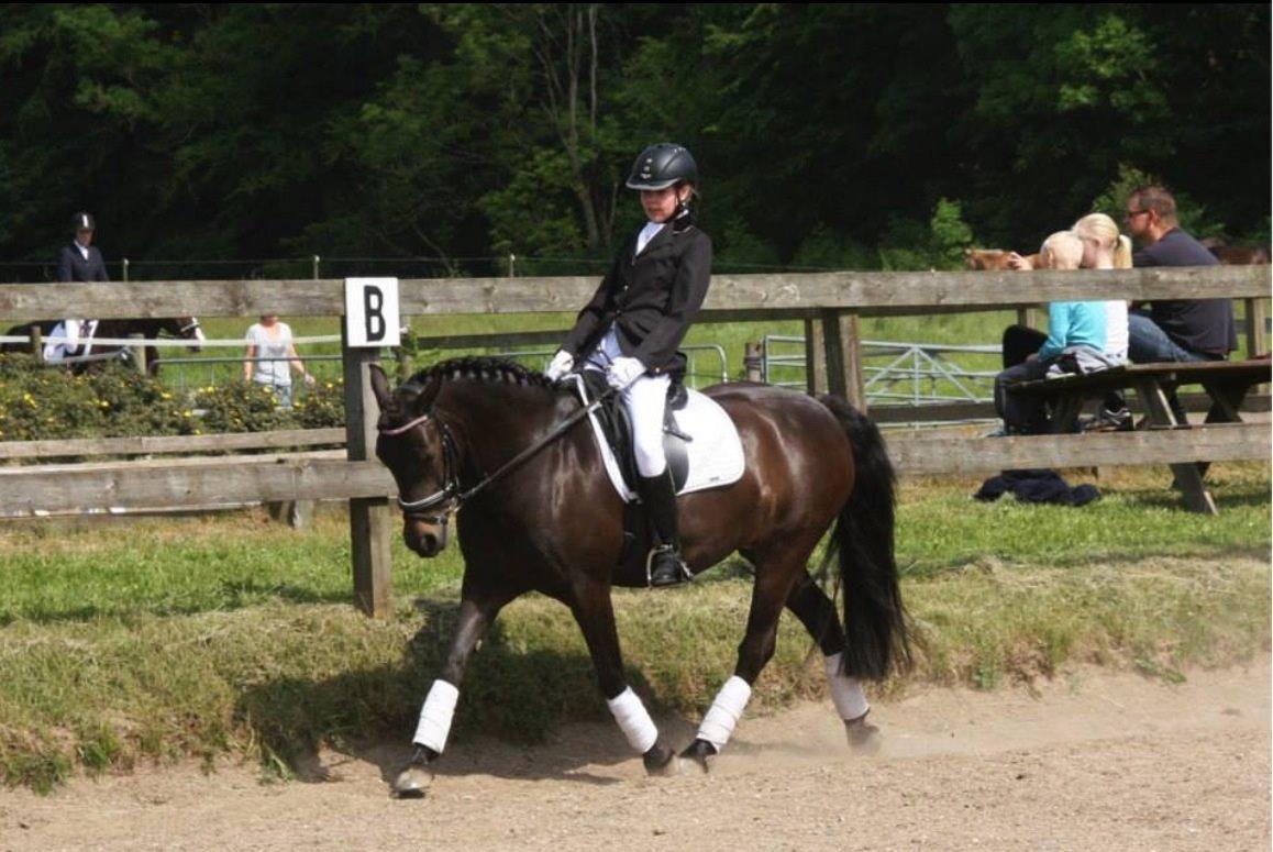 Anden særlig race Magic Malou <3<3 billede 16