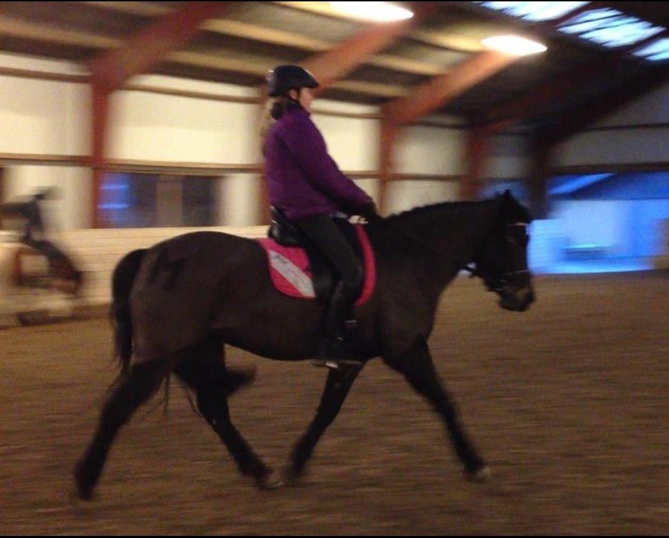 Anden særlig race Magic Malou <3<3 billede 17