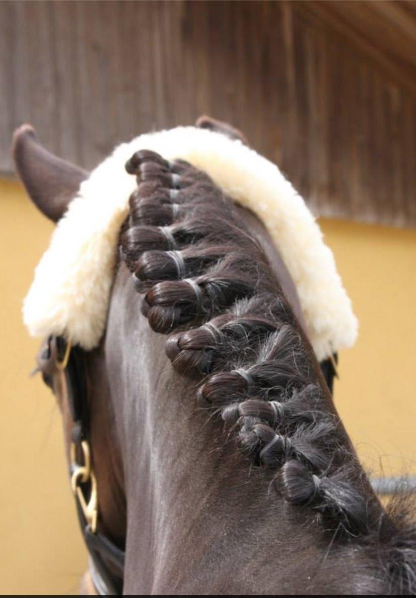 Anden særlig race Magic Malou <3<3 billede 19