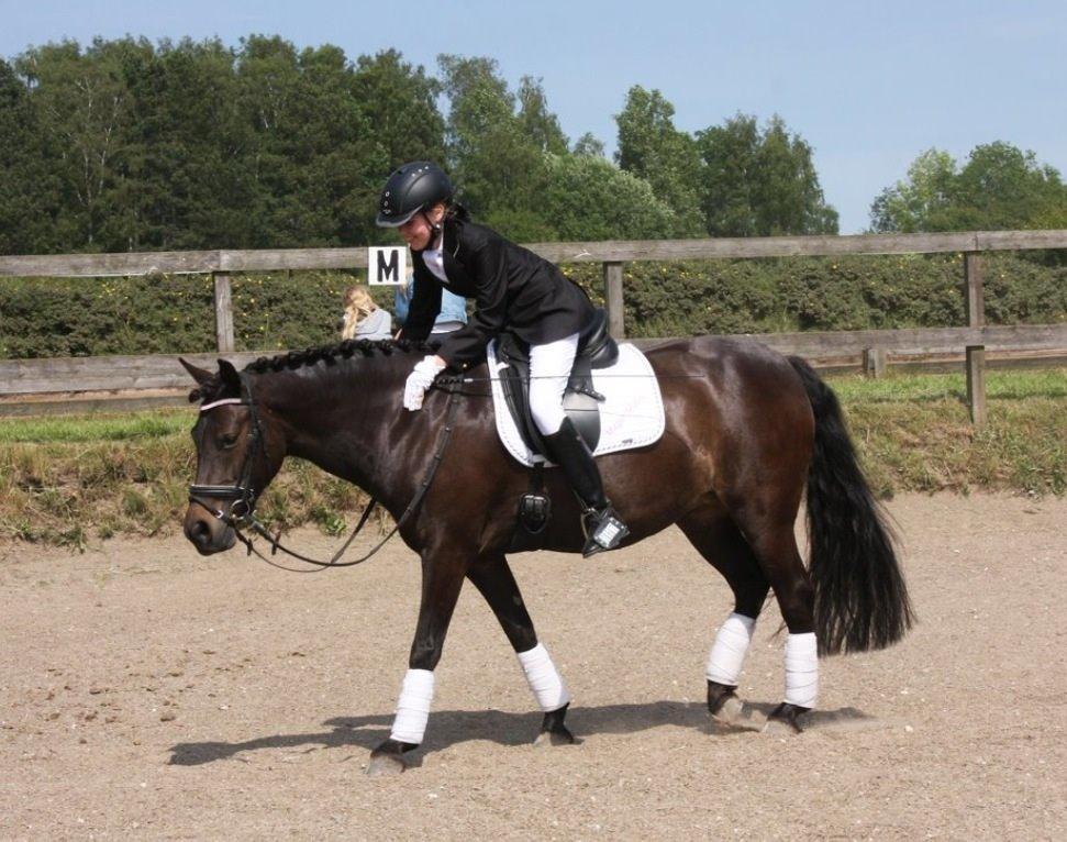 Anden særlig race Magic Malou <3<3 billede 21