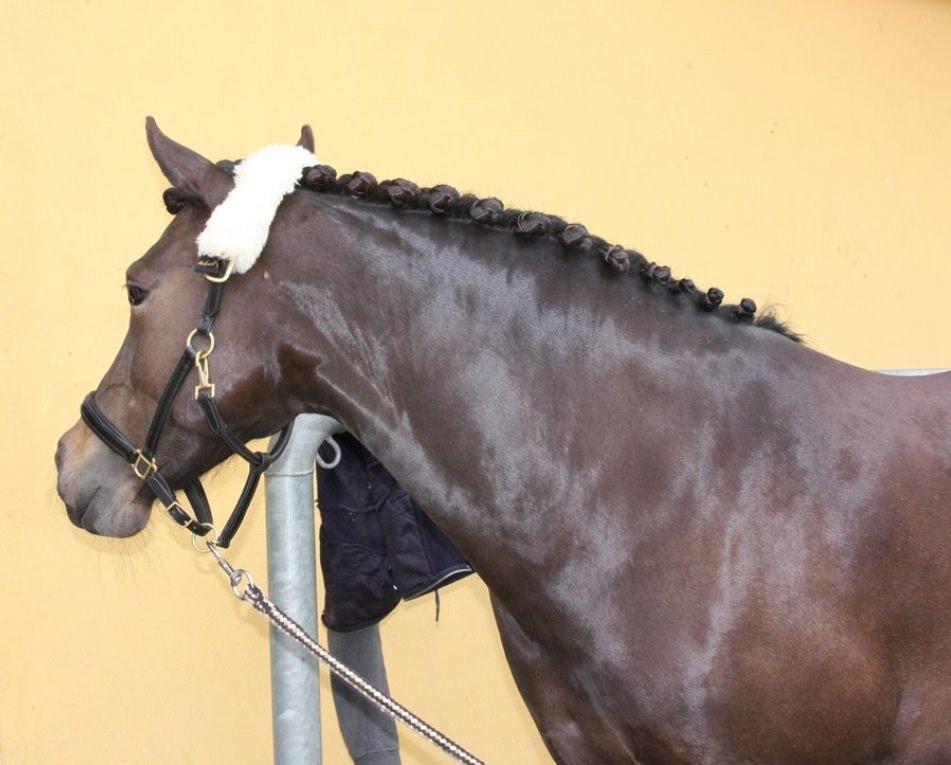 Anden særlig race Magic Malou <3<3 billede 22