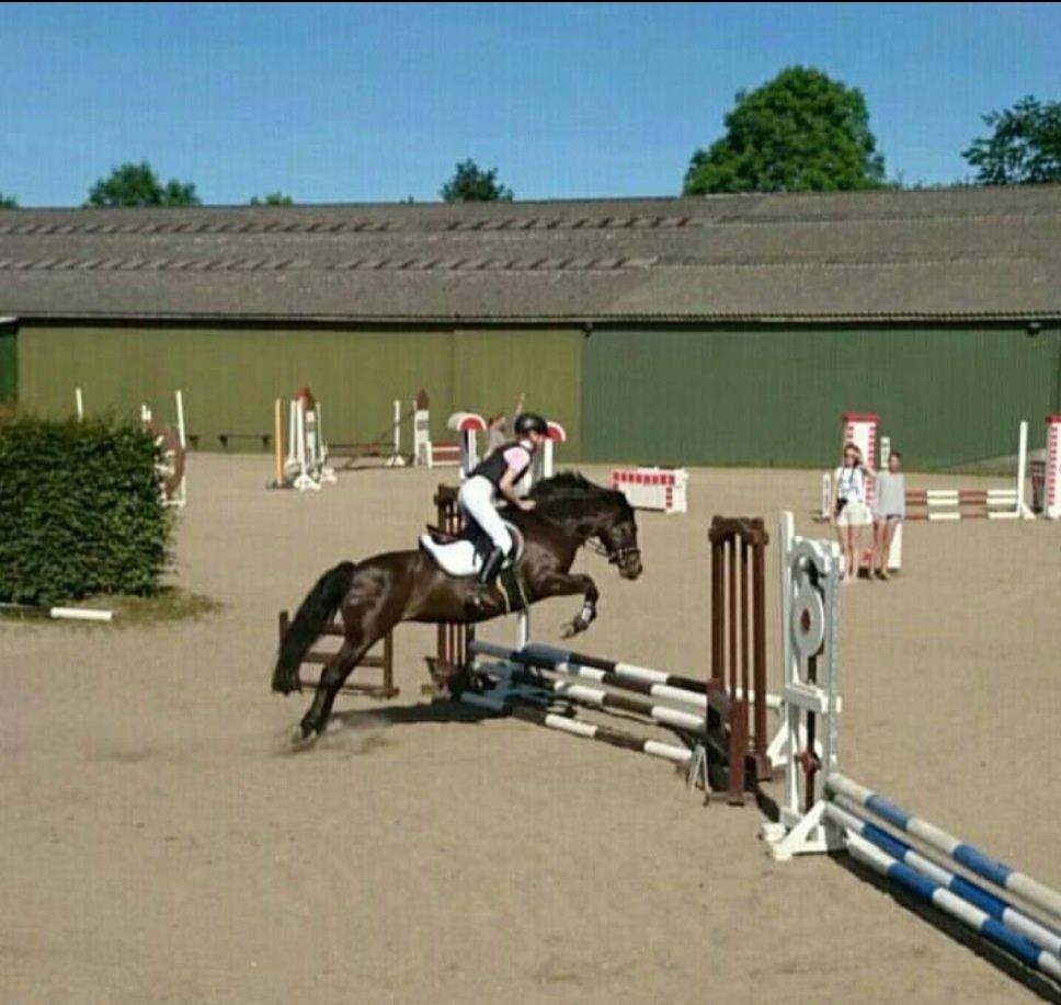 Anden særlig race Magic Malou <3<3 billede 23