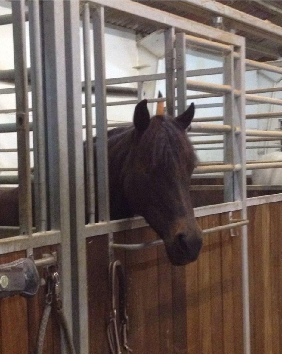 Anden særlig race Magic Malou <3<3 billede 25