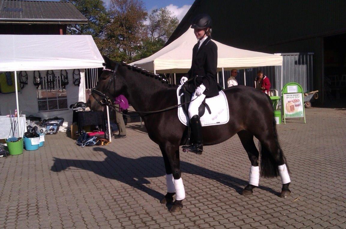 Anden særlig race Magic Malou <3<3 billede 26