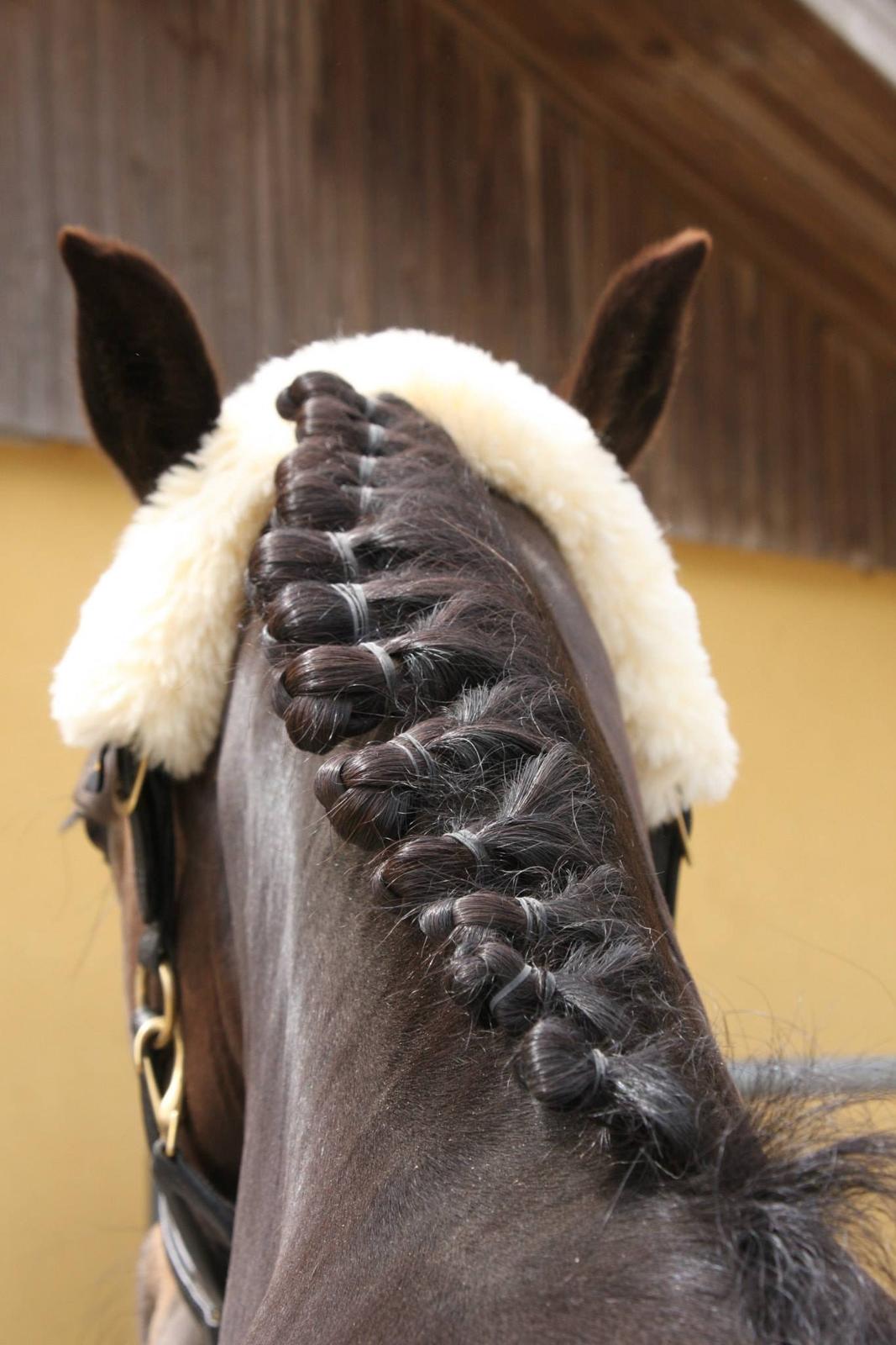 Anden særlig race Magic Malou <3<3 billede 28