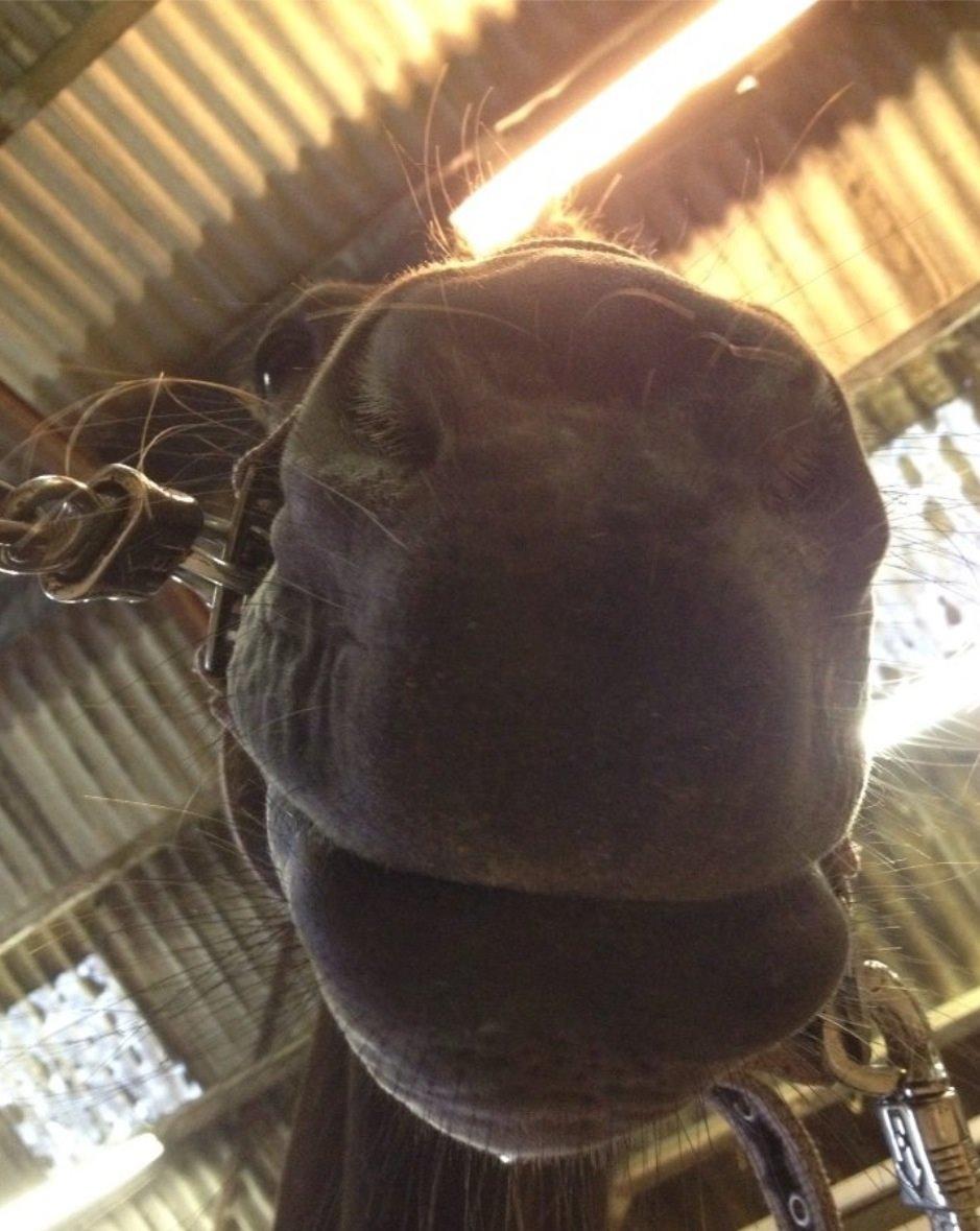 Anden særlig race Magic Malou <3<3 billede 29