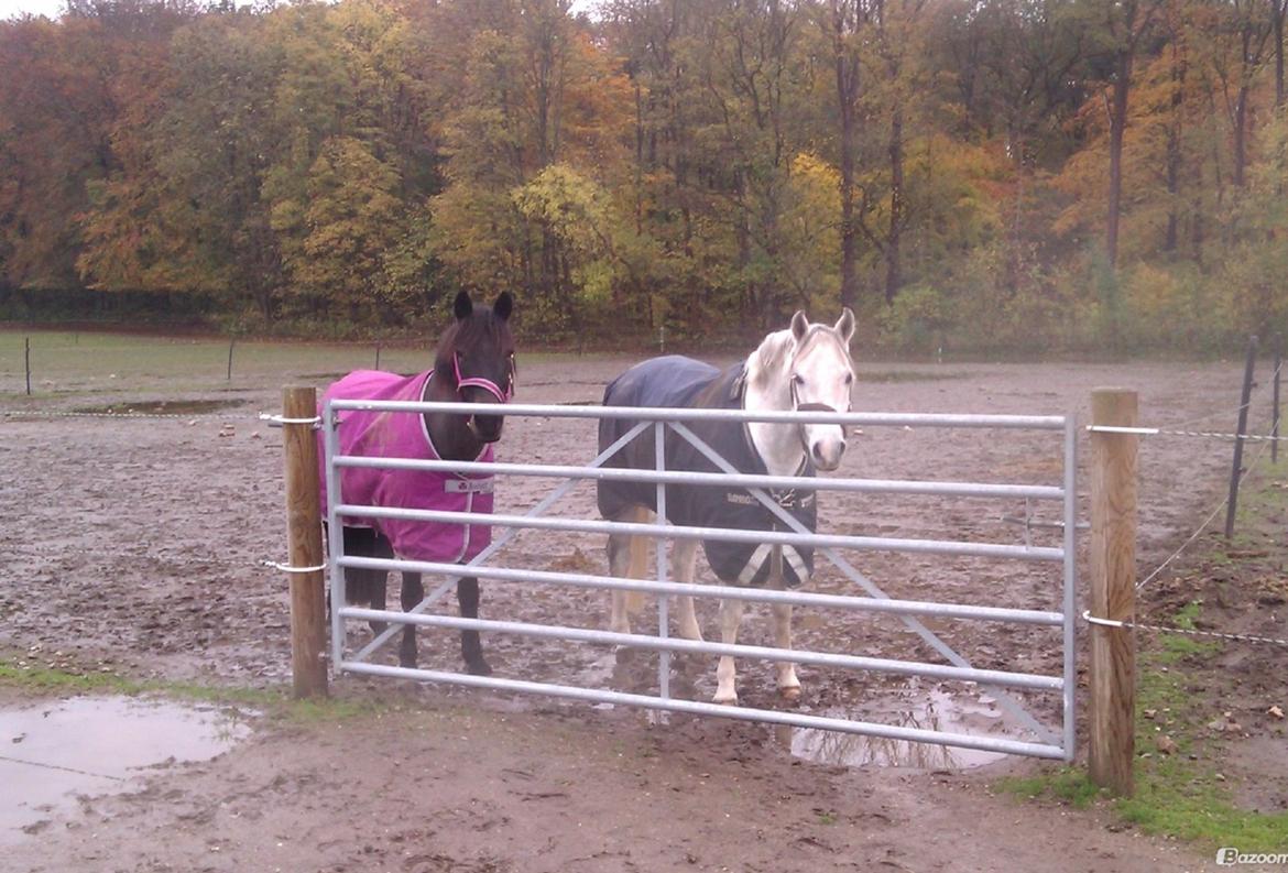 Anden særlig race Magic Malou <3<3 billede 30