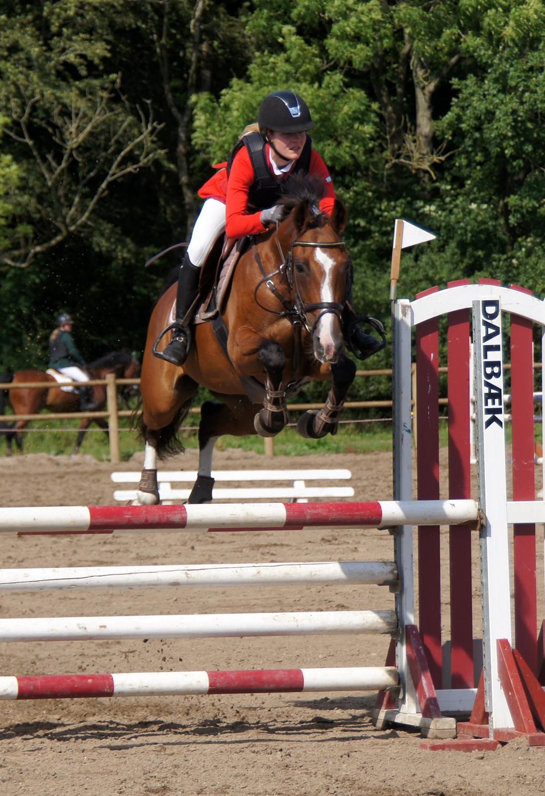 Dansk Varmblod VERONA HS - Vejle Rideklub LB2** 110 cm billede 17