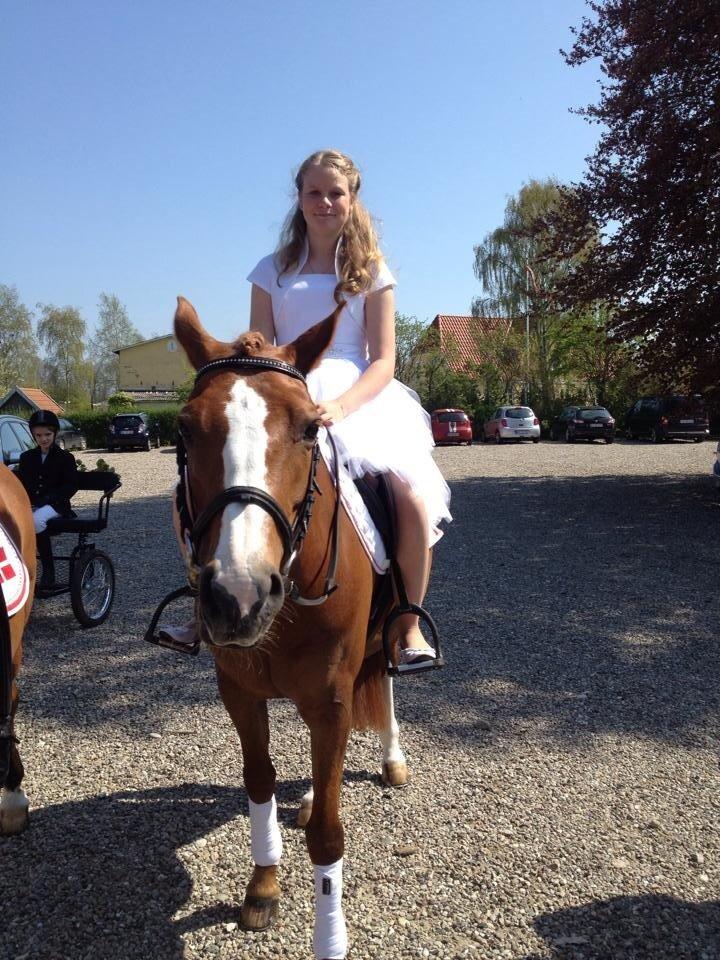 DSP Flicka billede 3