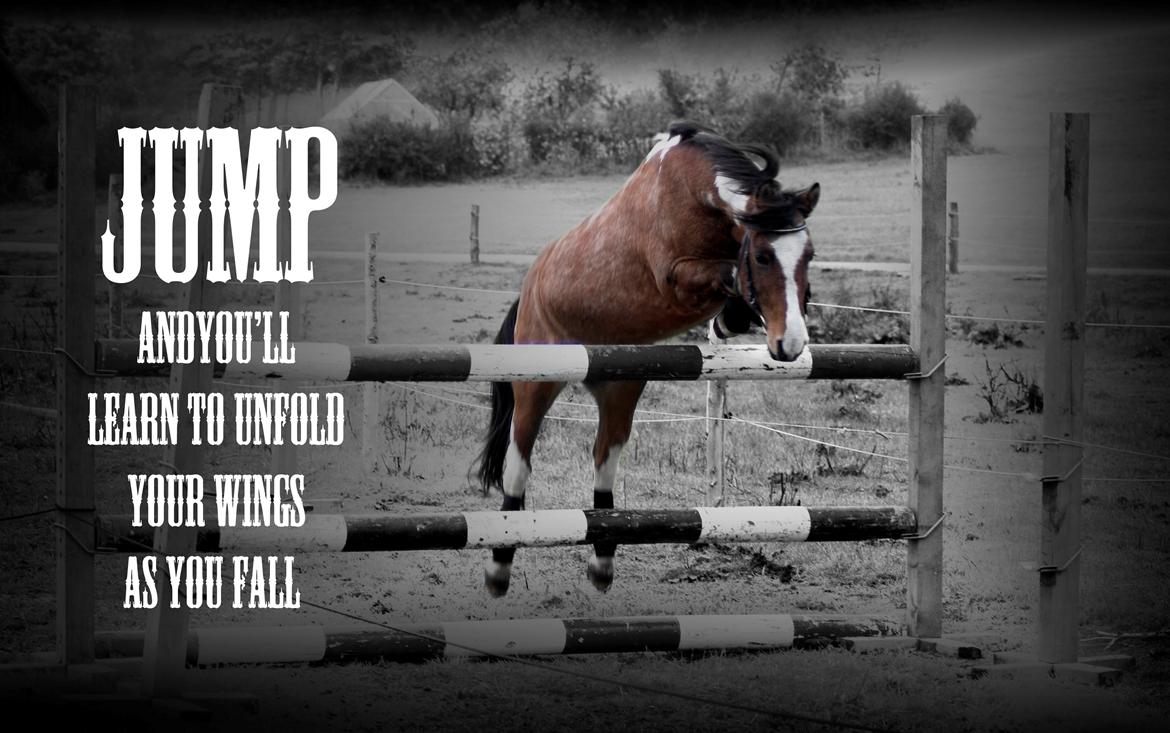 Anden særlig race Shrek | Himmelhest billede 9