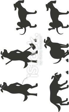 Dartmoor Sartous Mr Hanky *RIP* billede 5