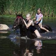 Anden særlig race Hollywood