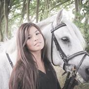 Welsh Pony (sec B) Kongsgodsgårds Bugsy Malone (solgt)