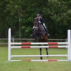 Fuldblod (XX) Windrose´s aisha