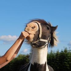 Tinker Kenzo's thumps up *kenny* 