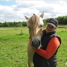 Anden særlig race Granstedets Key Lime Pie (Strit)