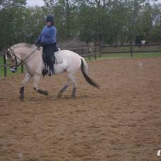Anden særlig race Granstedets Key Lime Pie (Strit)