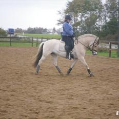 Anden særlig race Granstedets Key Lime Pie (Strit)