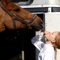 DSP Tovdal's Balooca