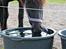 Fell pony Ellegaards Donna