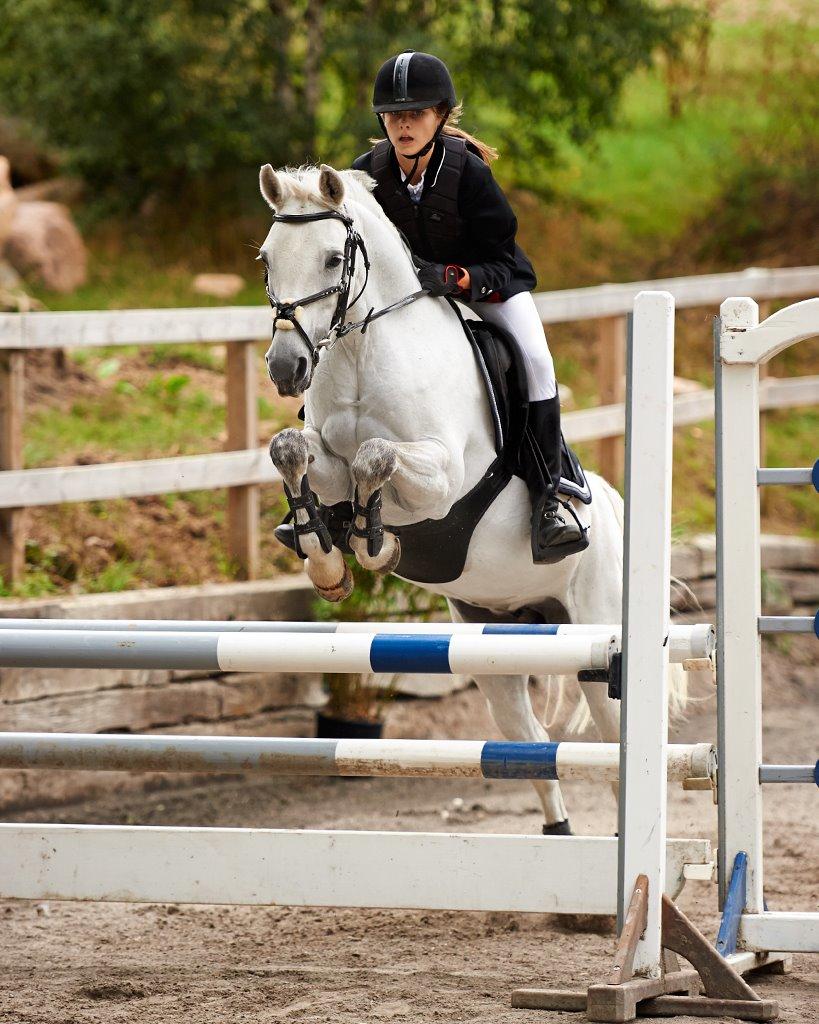 Welsh Partbred (Sec F) Ballettens Silent Victory billede 8