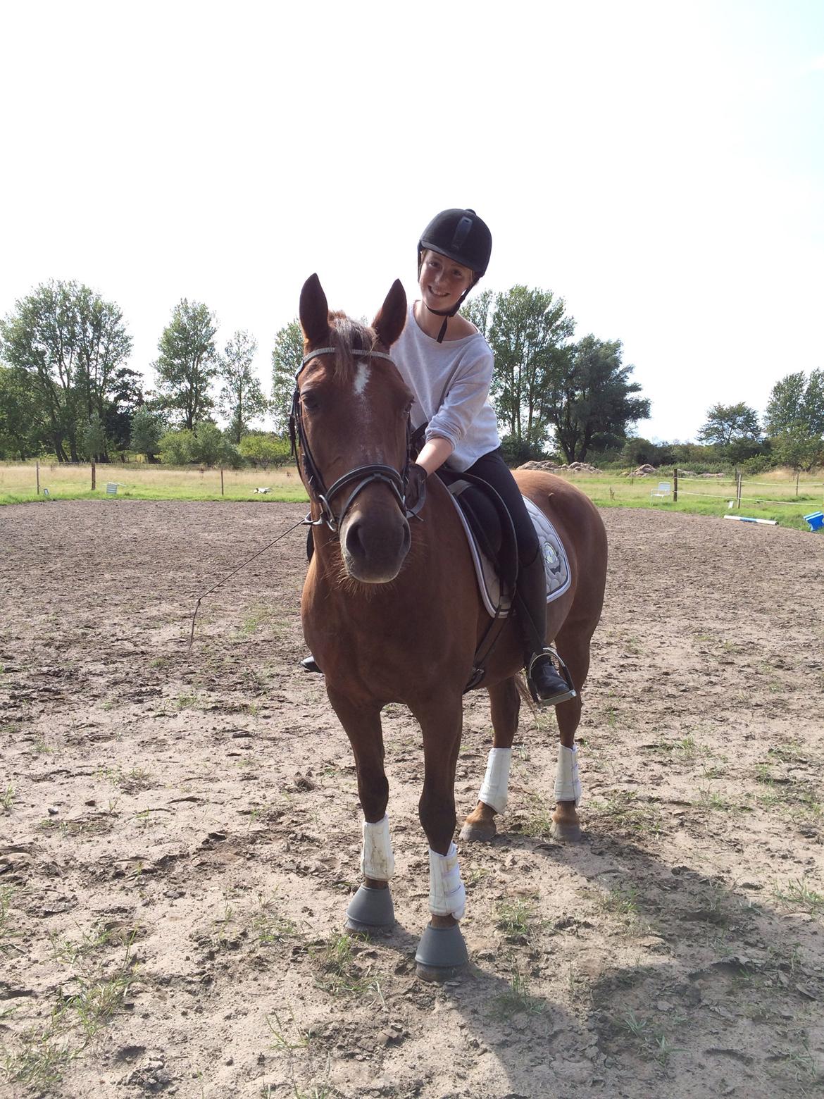 Connemara Quiva <3 - Første dag som min <3 - 21/8-14 billede 7