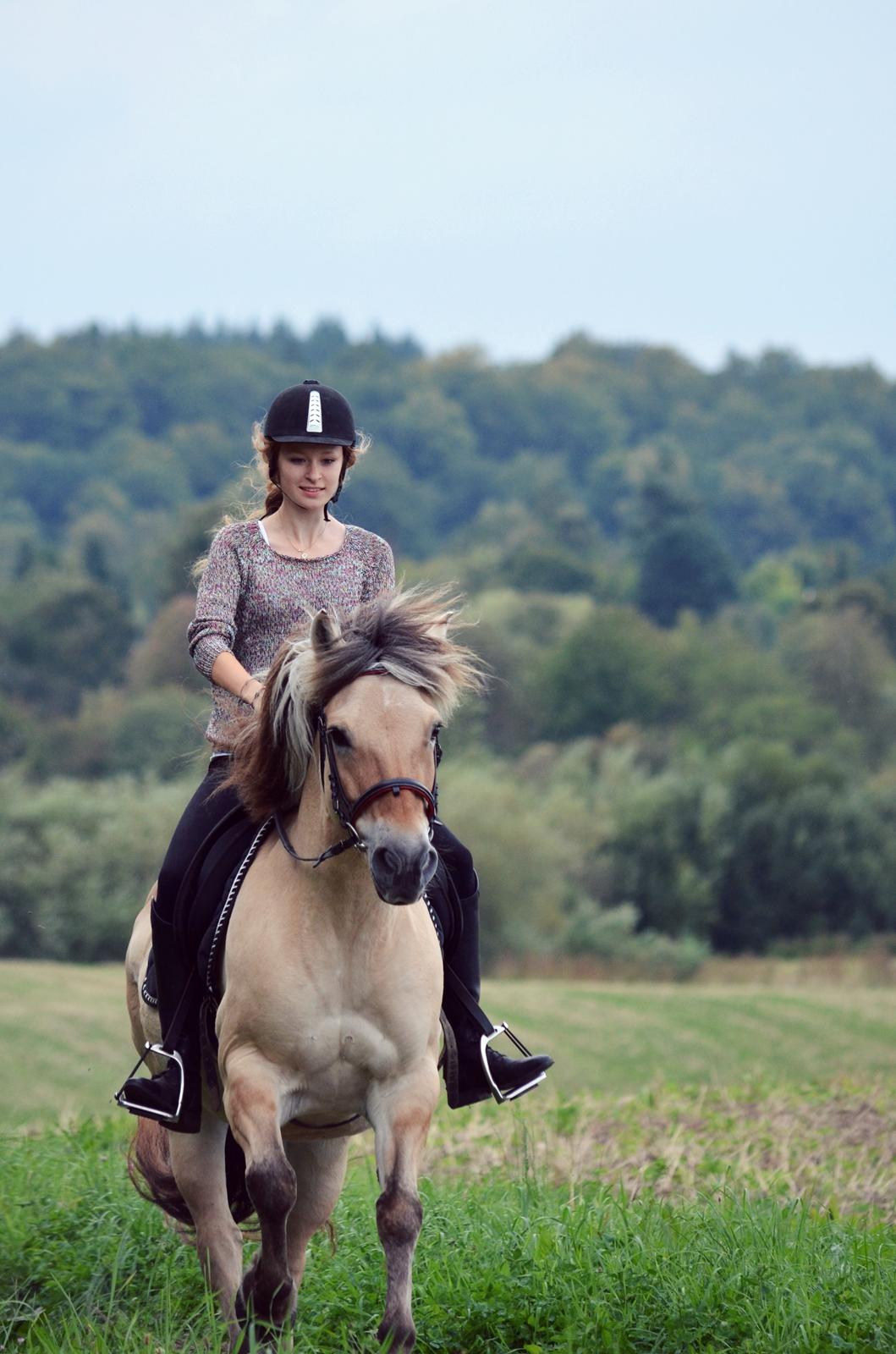 Fjordhest Laika *Soulmate* - Første tur alene! :D I fuld galop. Taget af: Min mor.  billede 17