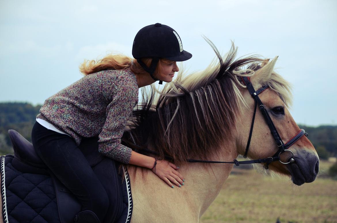 Fjordhest Laika *Soulmate* - Første tur alene! :D Taget af: Min mor. billede 4