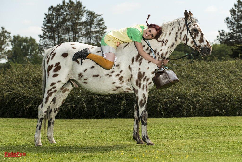Appaloosa Santuti R.I.P billede 6