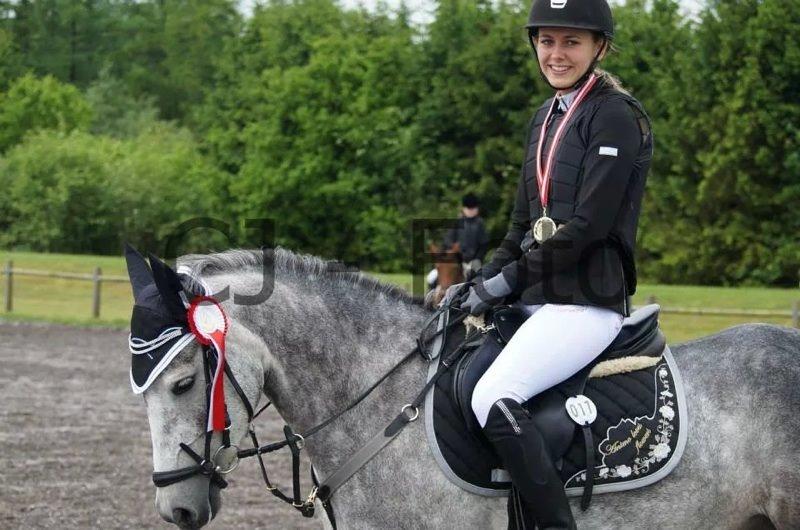 New Forest Egeballes Suzuki. billede 13