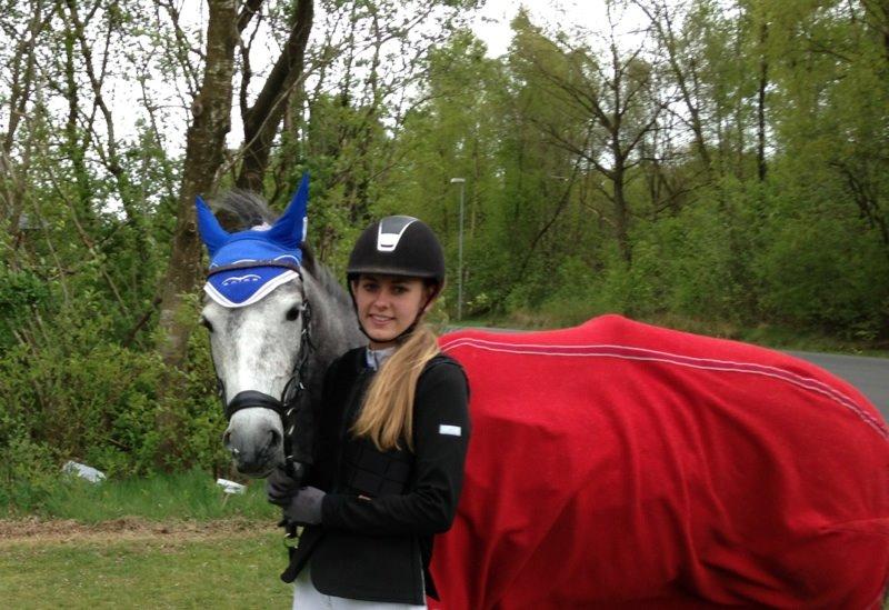 New Forest Egeballes Suzuki. billede 20