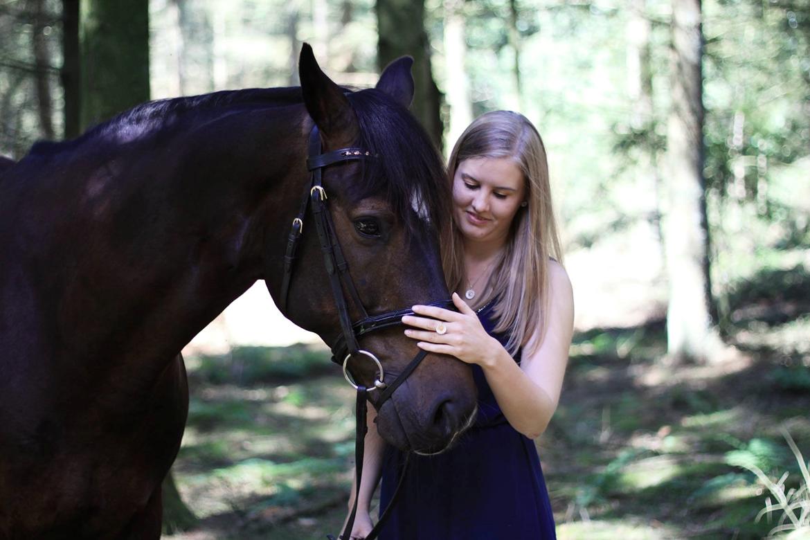 Dansk Varmblod Mosegårdens Diamando <3 - Sommer 2014 billede 19