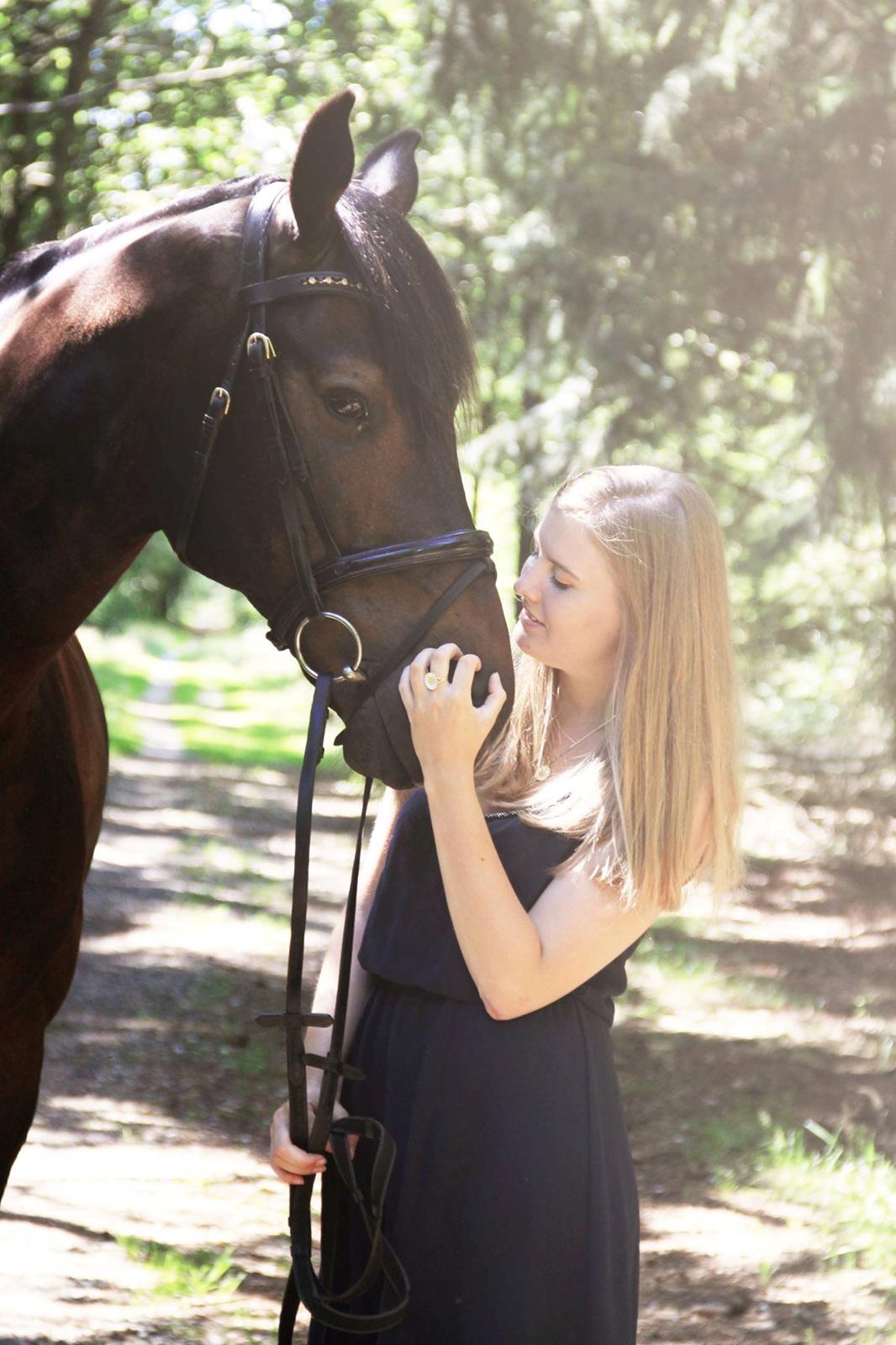 Dansk Varmblod Mosegårdens Diamando <3 - Sommer 2014 billede 20