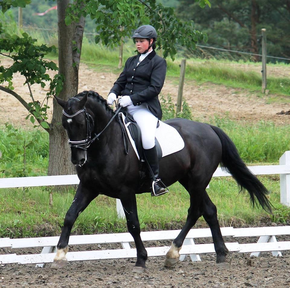 Oldenborg Emil Hornbæk billede 1