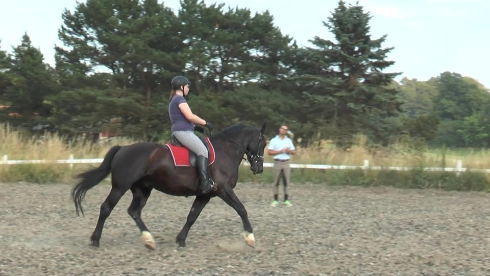 Oldenborg Emil Hornbæk billede 17