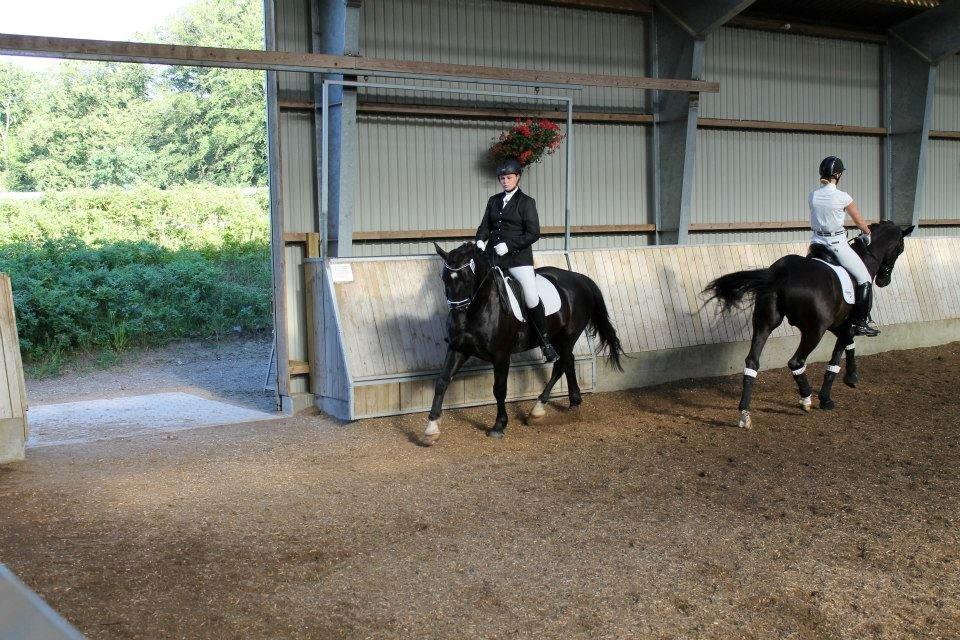 Oldenborg Emil Hornbæk billede 20