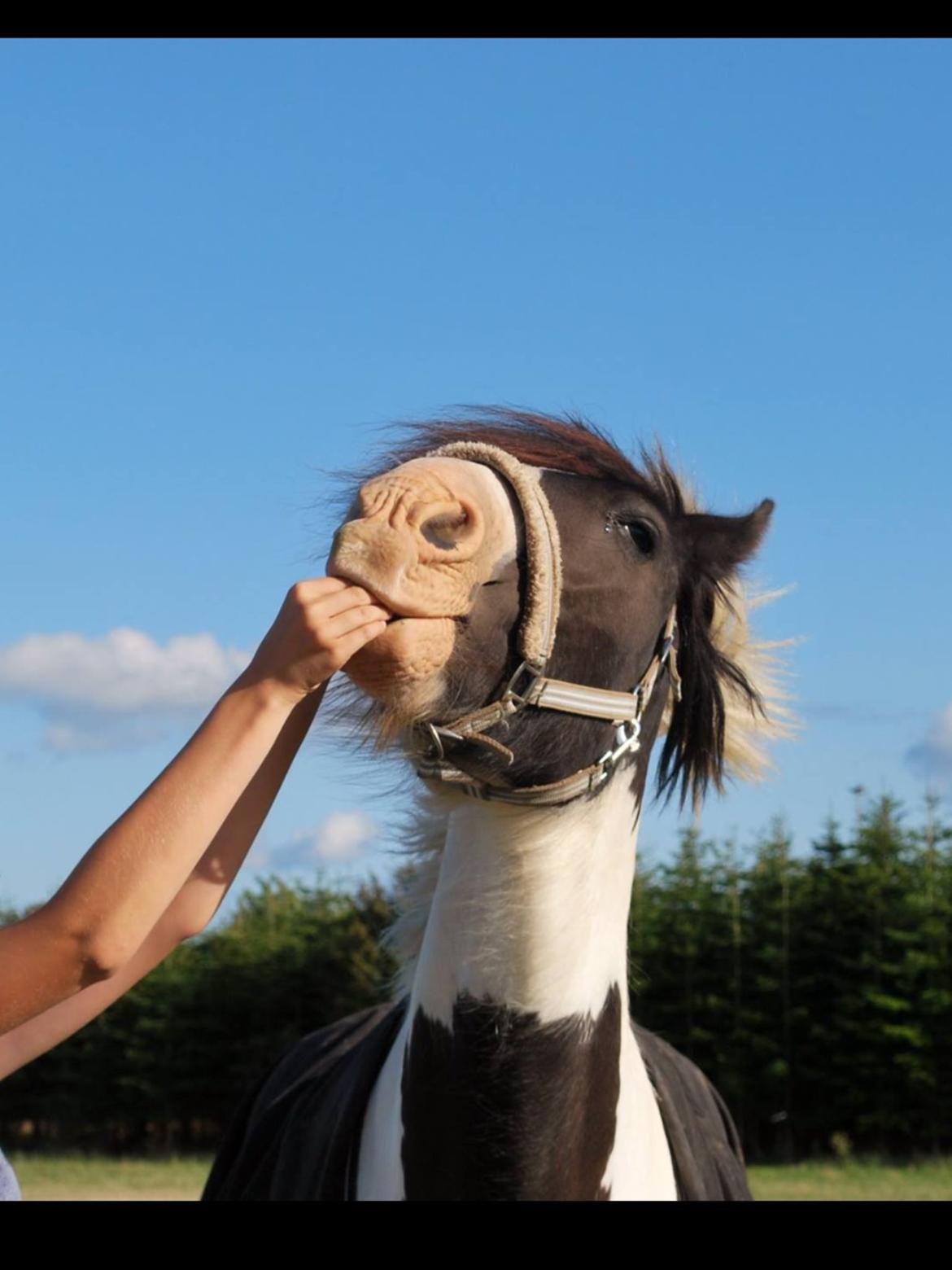 Tinker Kenzo's thumps up *kenny*  billede 1