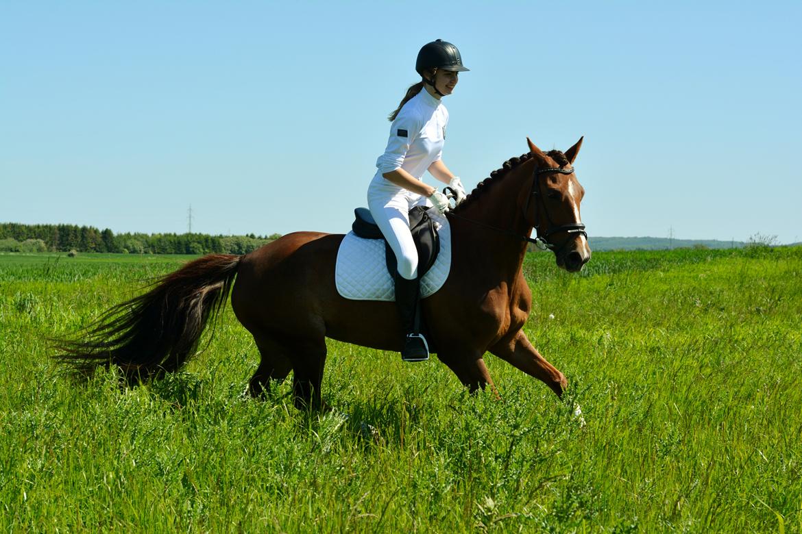 Anden særlig race LULU billede 7