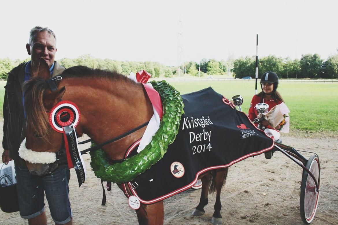 Gotlandsruss Eruss <3 billede 12