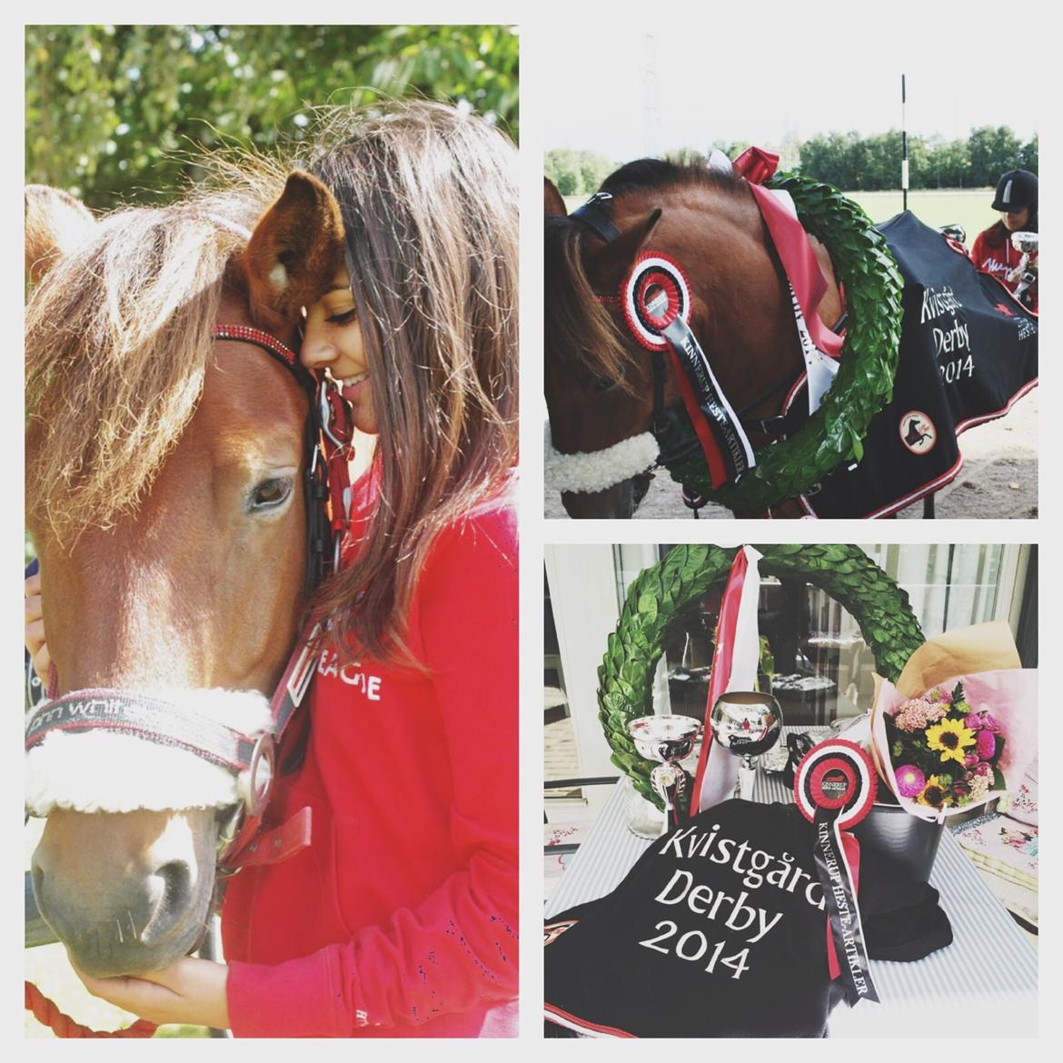 Gotlandsruss Eruss <3 billede 13