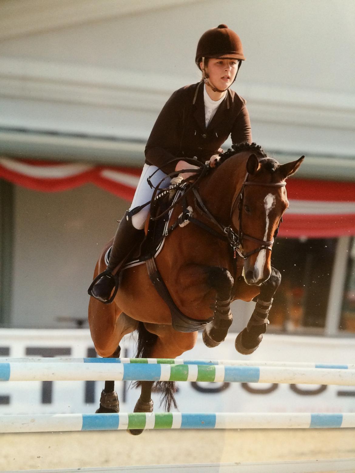 Dansk Varmblod Que tal "Solgt til USA" - Stævne i Østrig, april 2014 billede 19