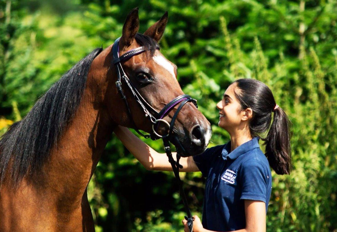 Arabisk fuldblod (OX) Khiara aw billede 23