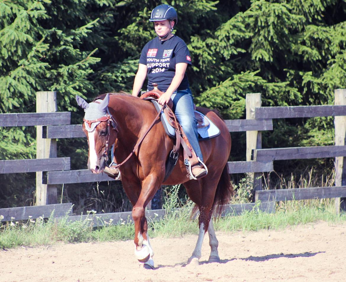 Quarter Special made by Poca billede 7