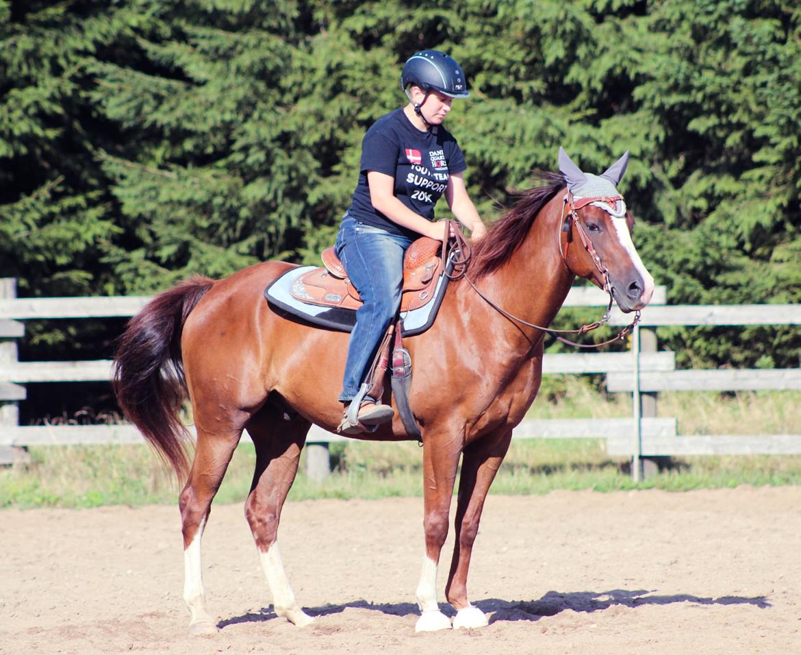 Quarter Special made by Poca billede 8