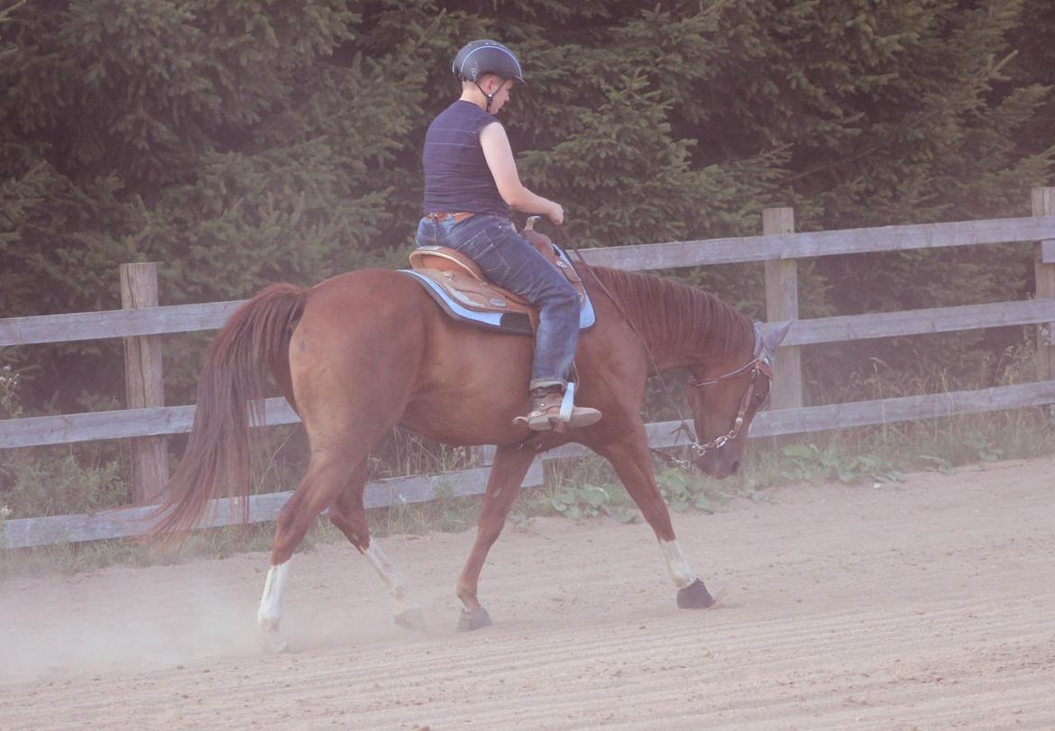 Quarter Special made by Poca billede 9