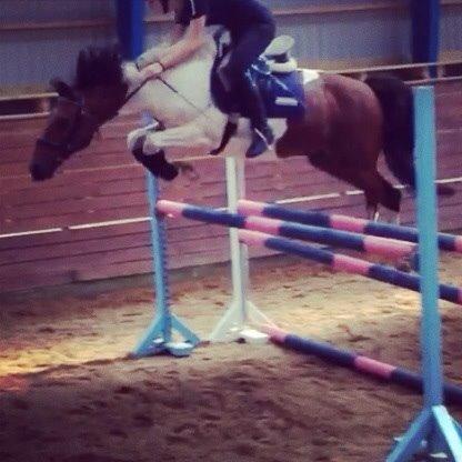 Pinto The indian boy - Pony er flyvende<3 billede 14