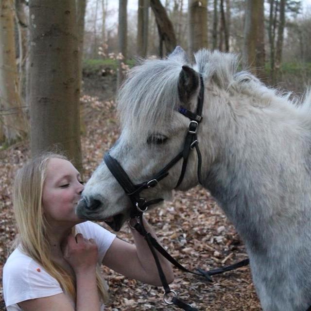 DSP Ivan (Silver)!<3 - Kyyyyss.....<3 billede 12