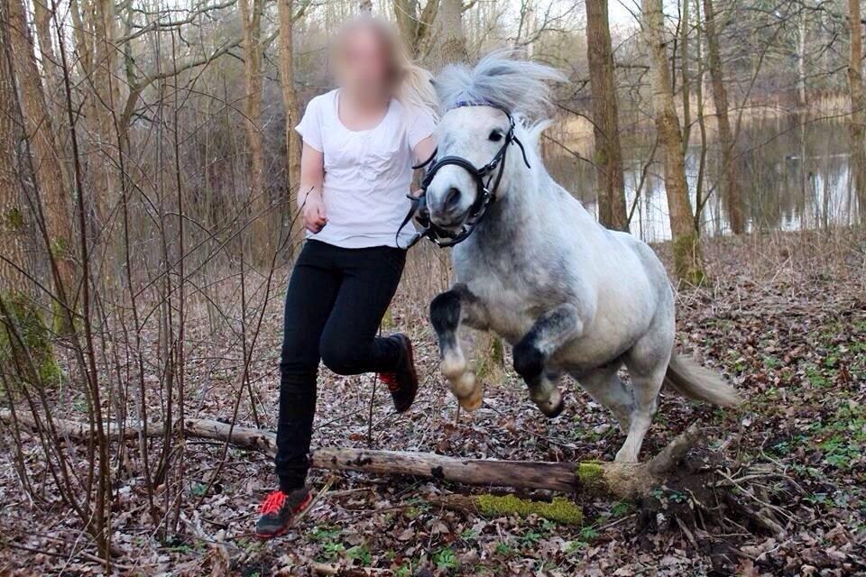 DSP Ivan (Silver)!<3 - vi springer over en træstup<3 billede 7