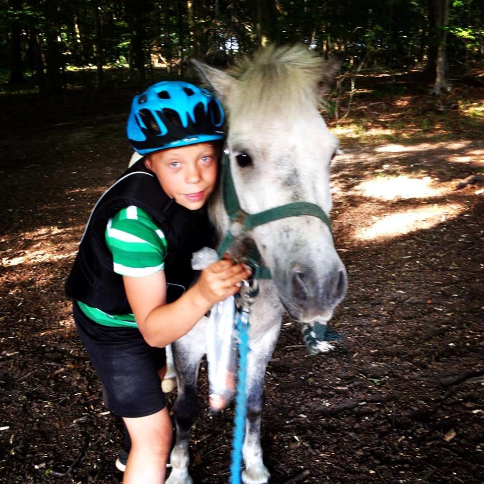 DSP Ivan (Silver)!<3 - Min lillebror og silver i skoven! :')) billede 16