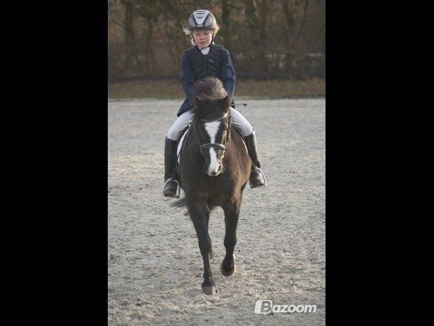 Anden særlig race Aslan billede 36